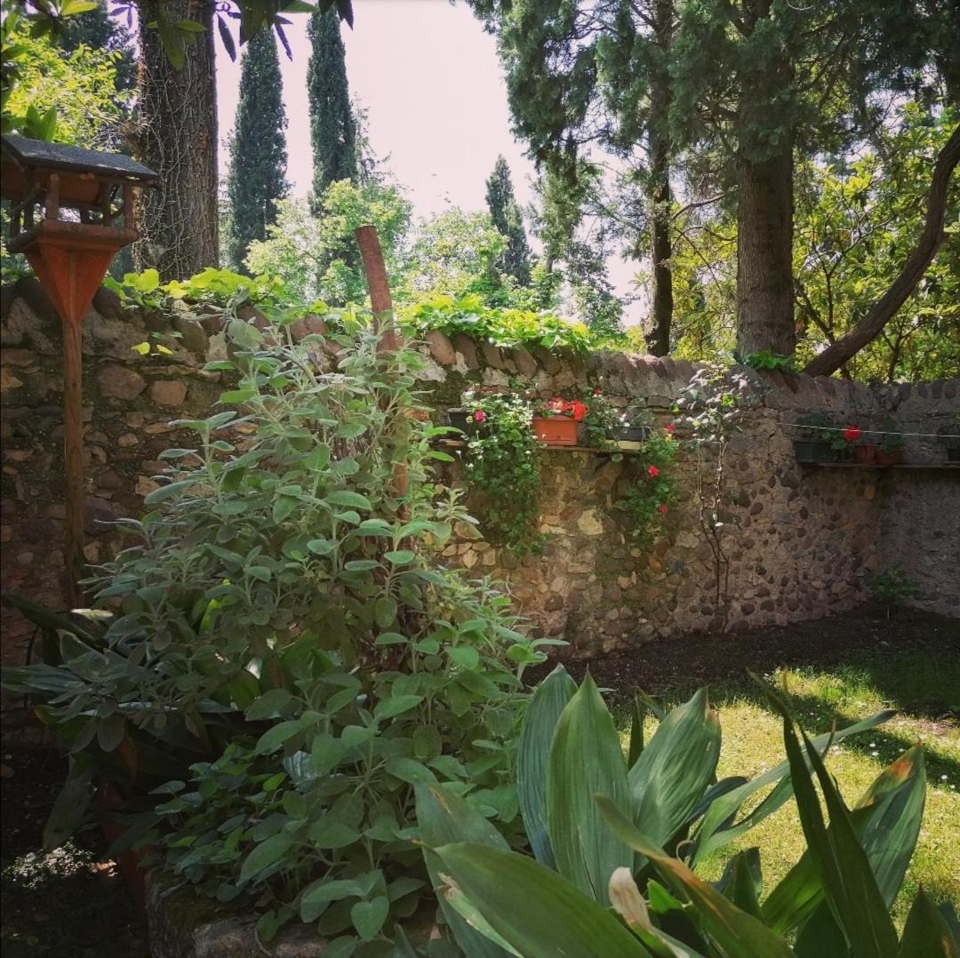 La Casa Di Marzia Leilighet Bardolino Eksteriør bilde